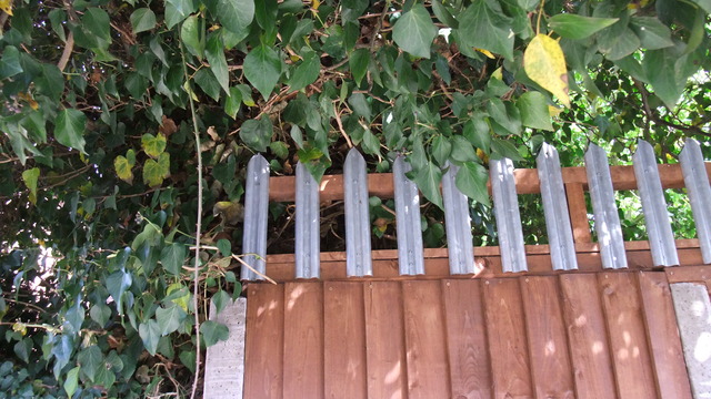 dscf8679.jpg